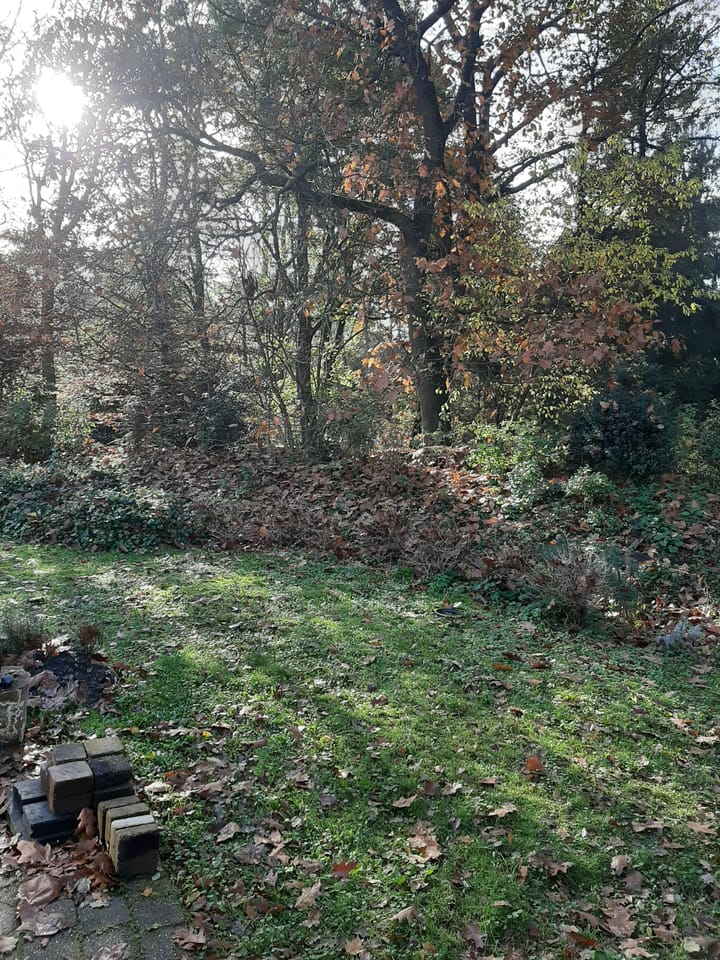 Foto 12 van Zonneoordlaan 47