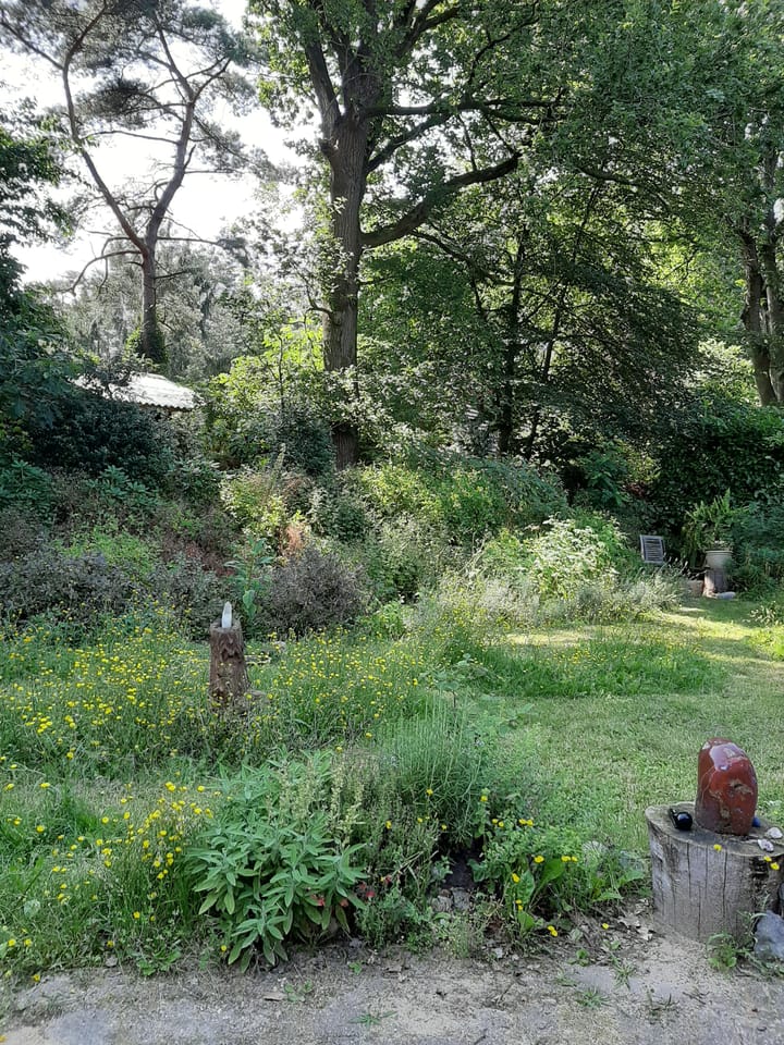 Foto 13 van Zonneoordlaan 47