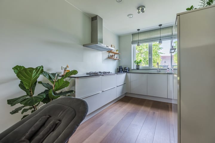 Foto 22 van Biesheuvelstraat 18