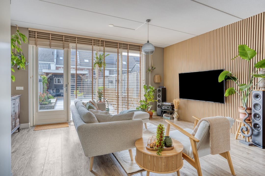 Photo 1 of Forsythia 32