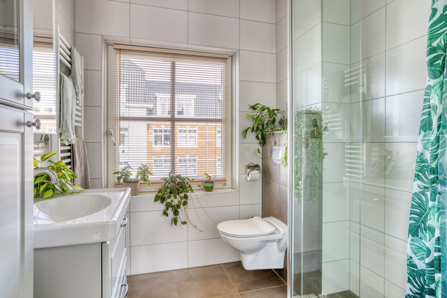 Photo 4 of Forsythia 32