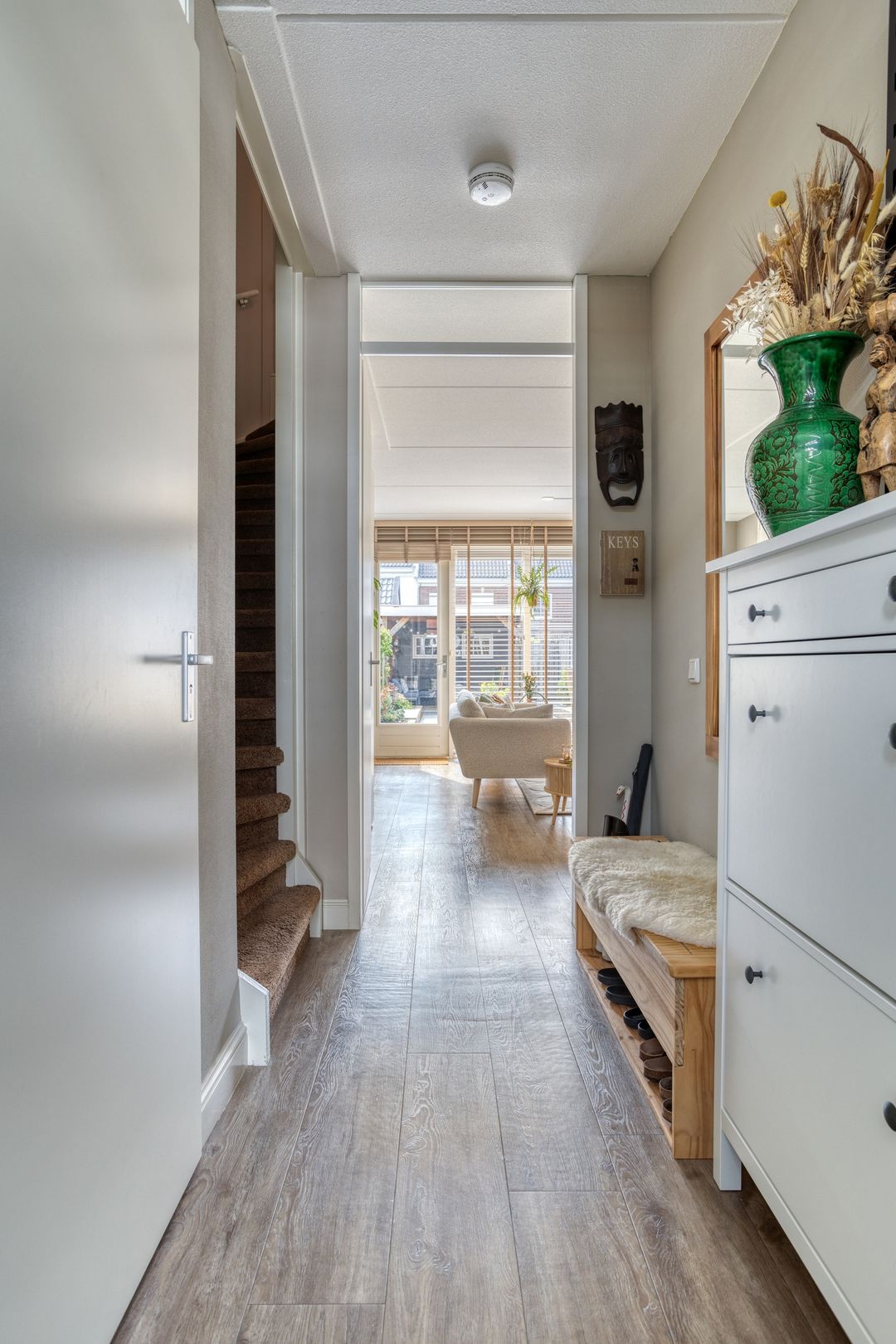 Photo 8 of Forsythia 32