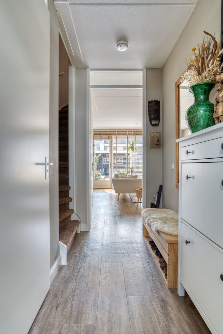 Foto 8 van Forsythia 32