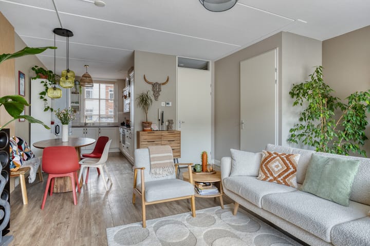 Foto 11 van Forsythia 32