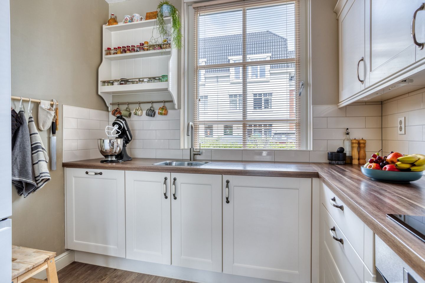 Photo 14 of Forsythia 32