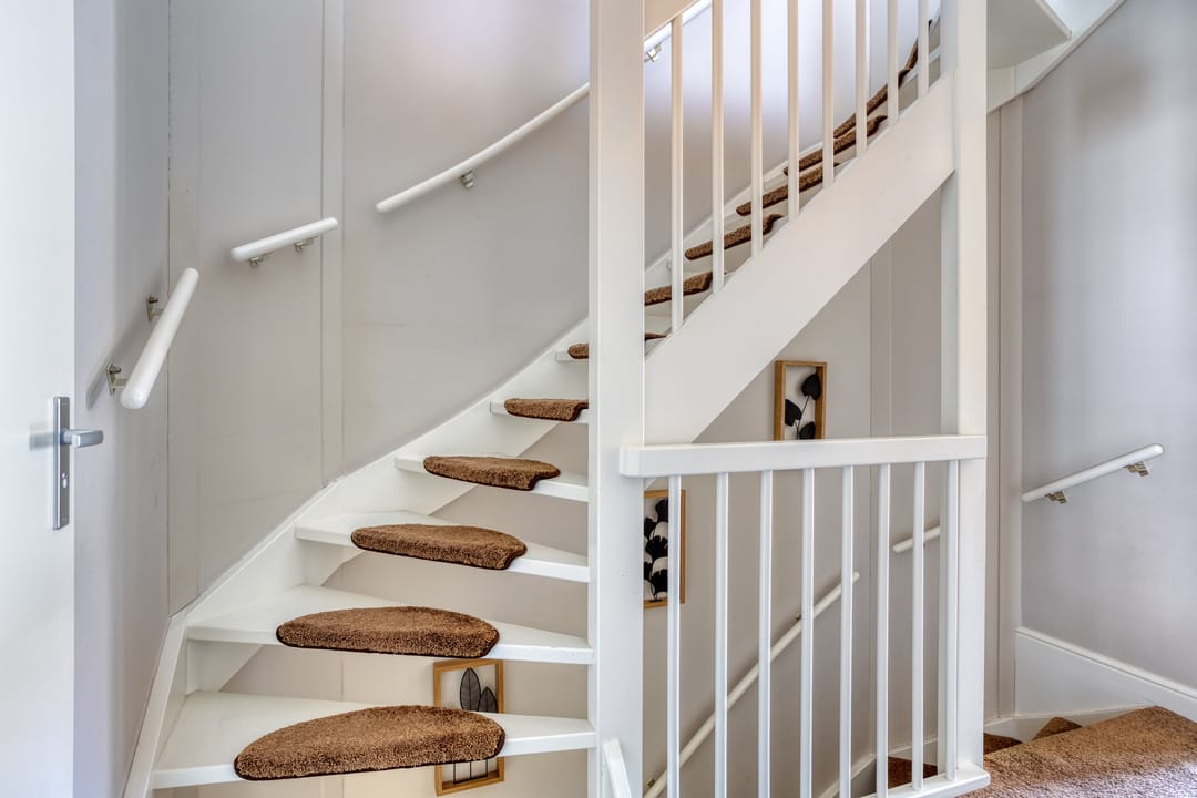 Photo 16 of Forsythia 32