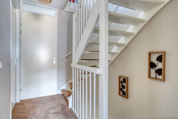 Foto 17 van Forsythia 32