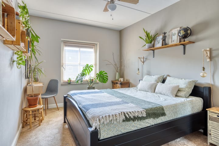 Foto 18 van Forsythia 32