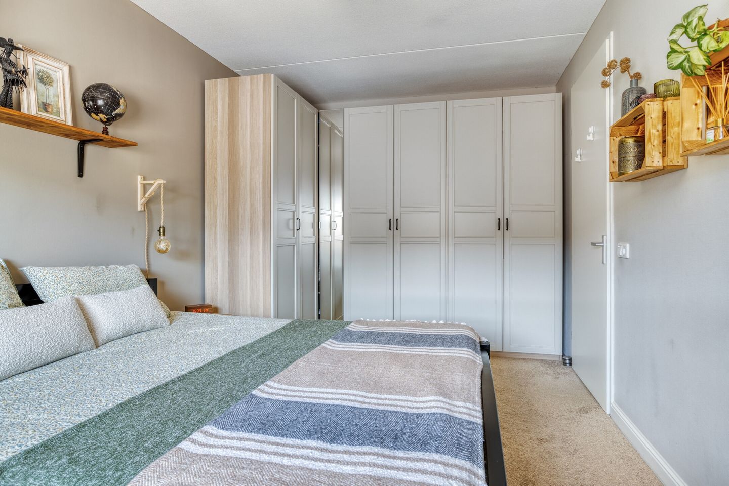 Photo 19 of Forsythia 32