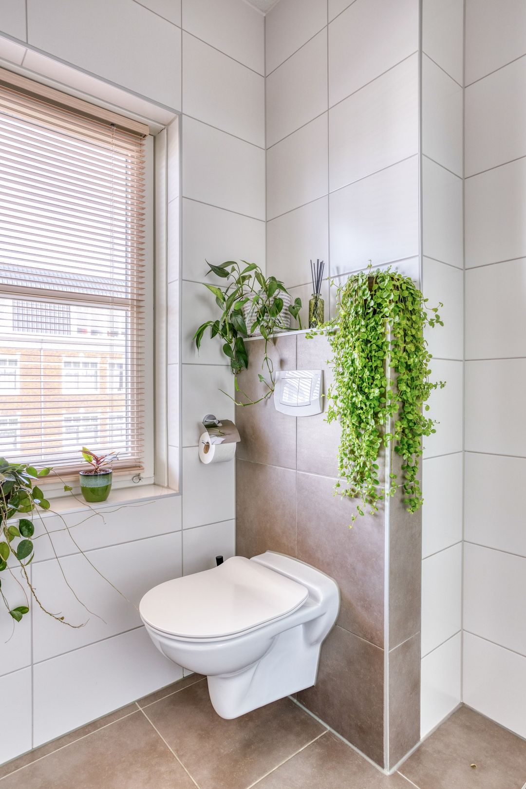 Photo 22 of Forsythia 32