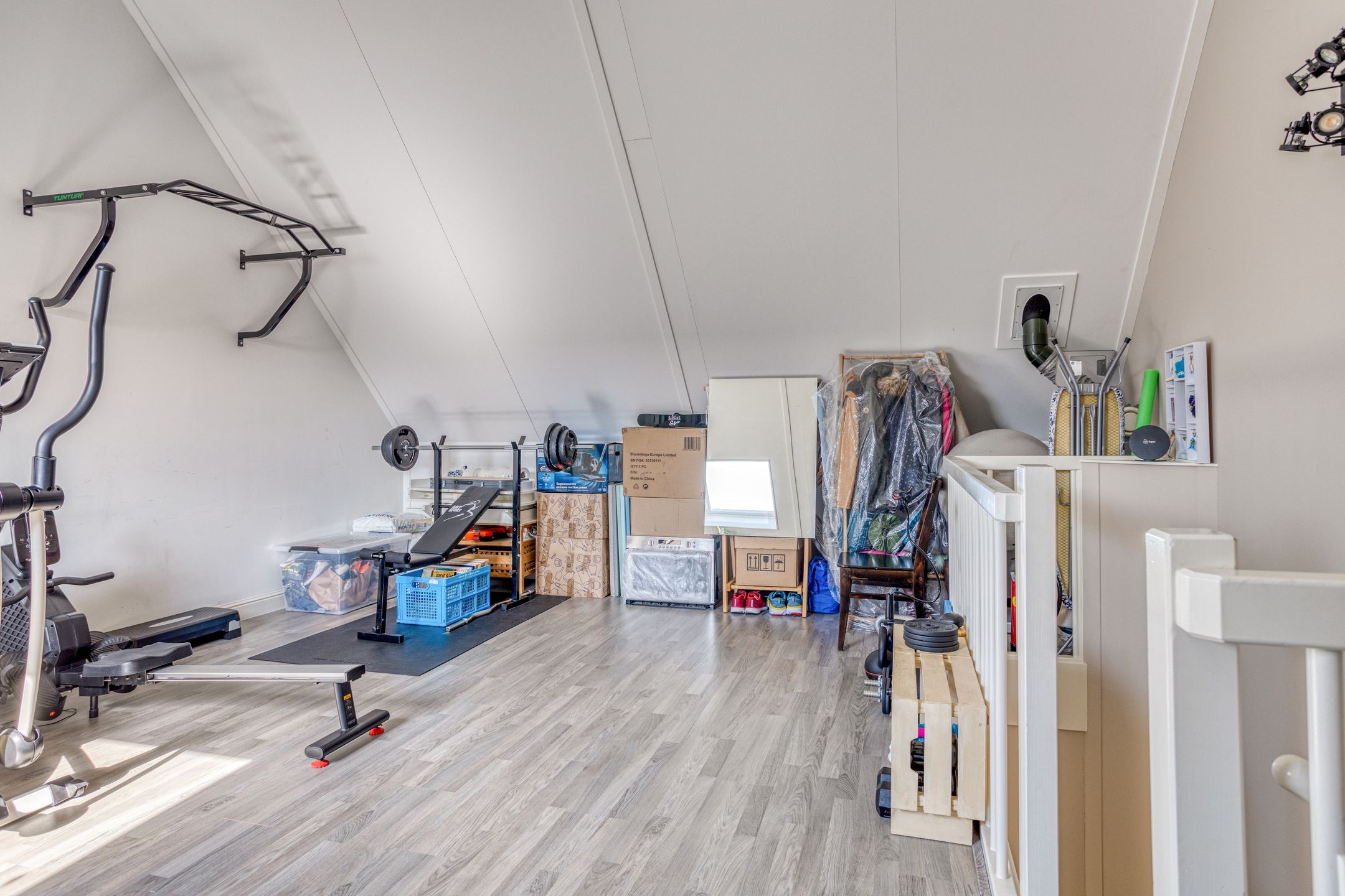 Photo 27 of Forsythia 32