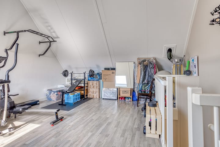 Foto 27 van Forsythia 32