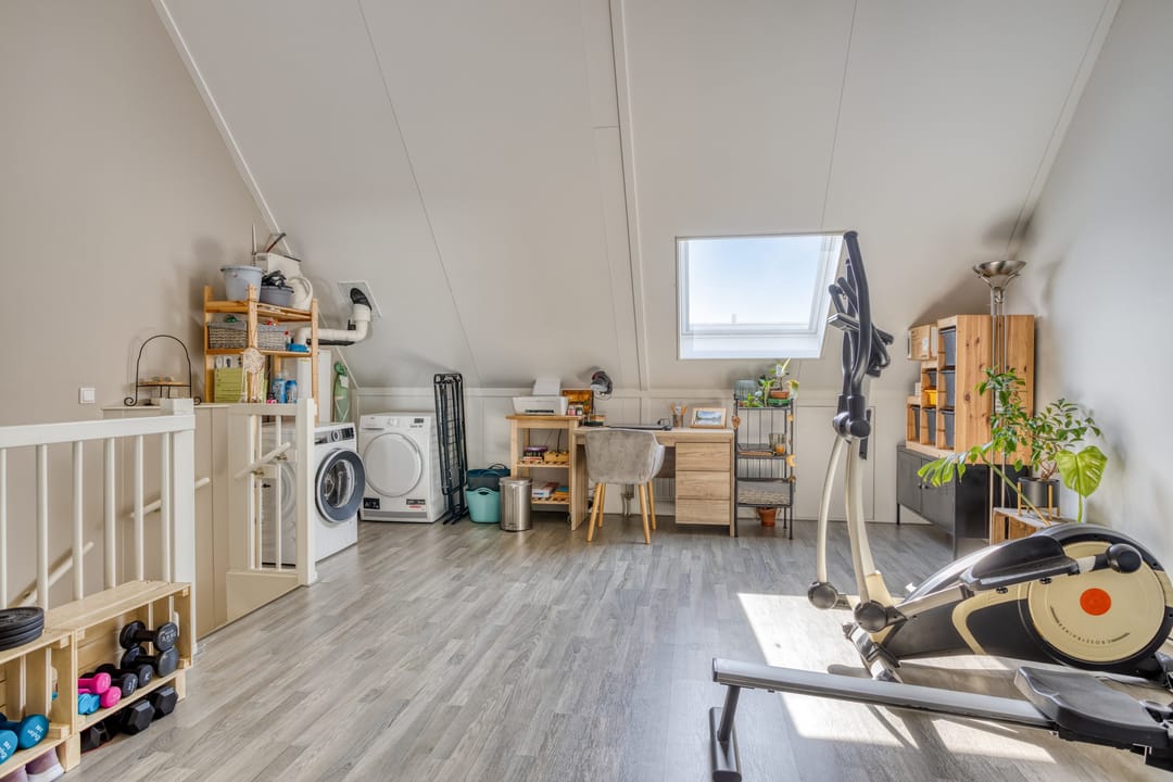 Photo 28 of Forsythia 32