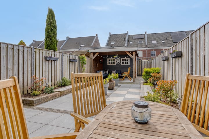 Foto 29 van Forsythia 32