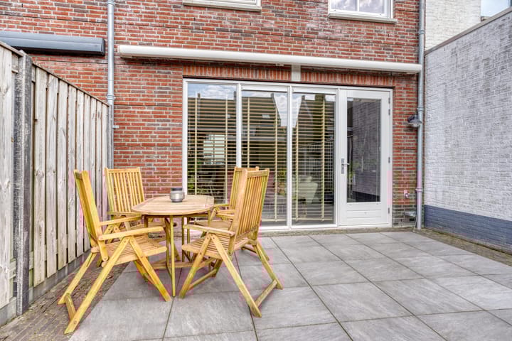 Foto 31 van Forsythia 32