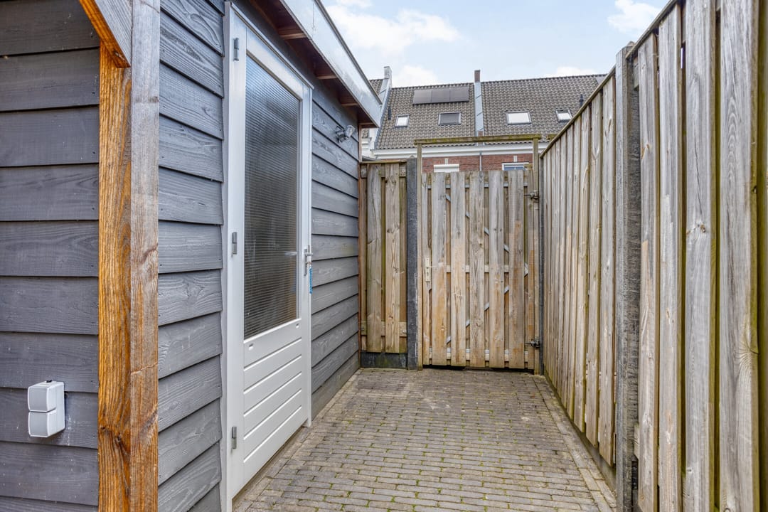 Photo 32 of Forsythia 32