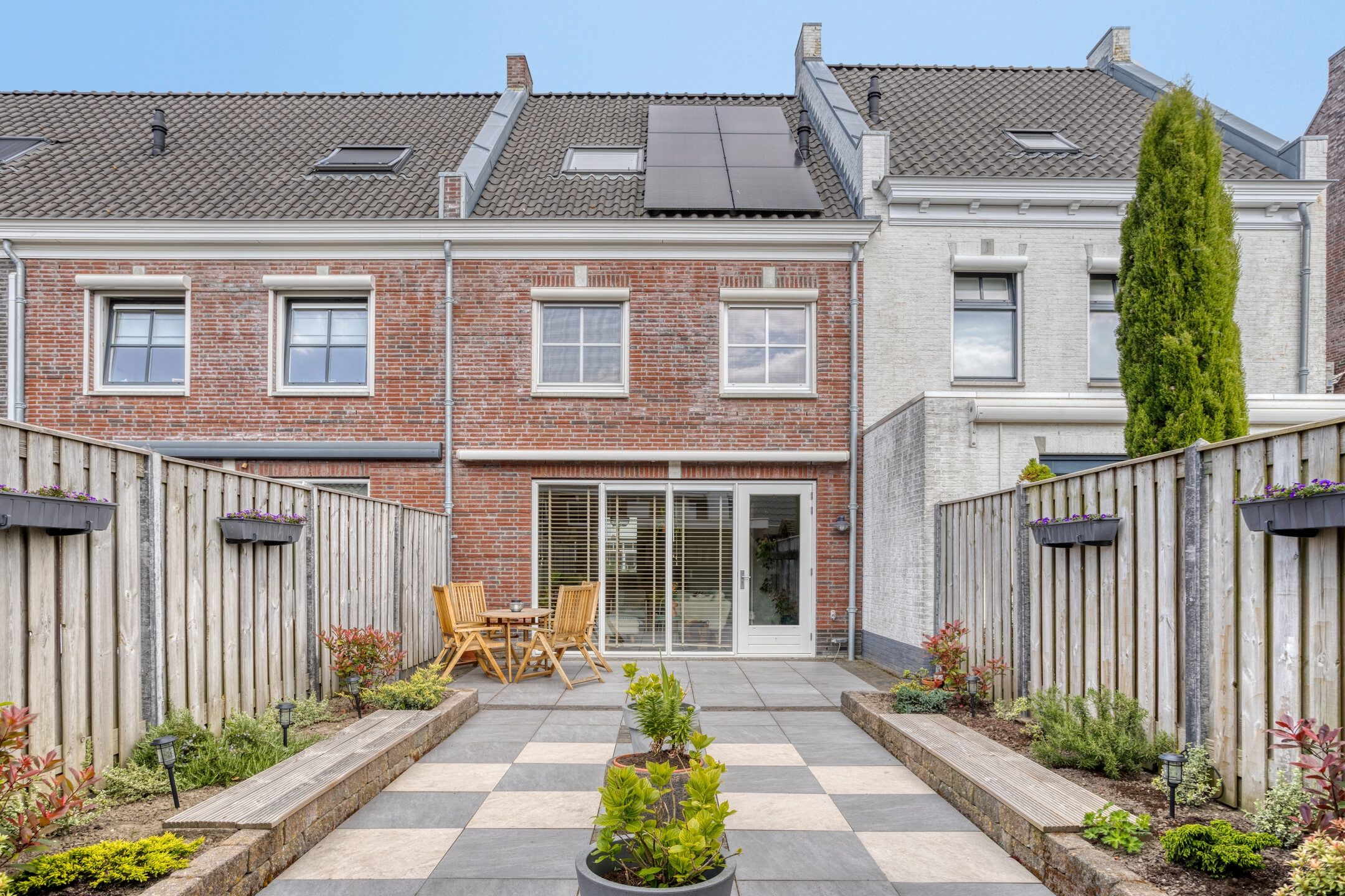 Photo 33 of Forsythia 32