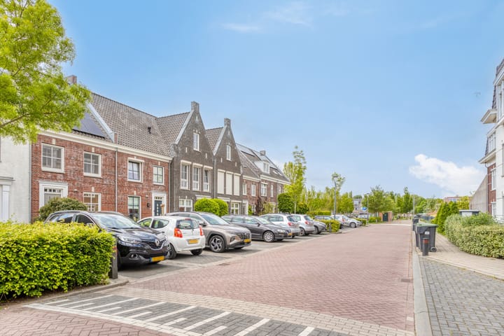 Foto 36 van Forsythia 32