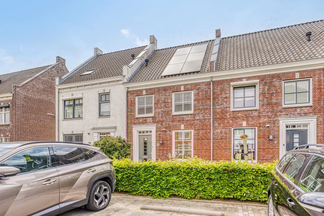 Photo 37 of Forsythia 32