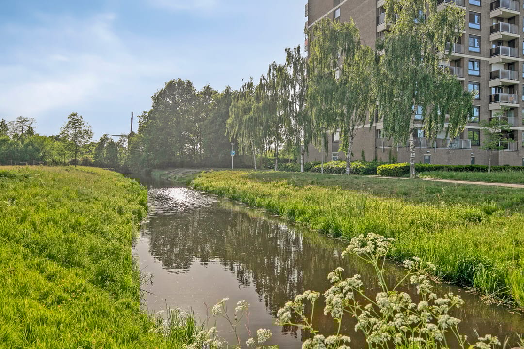 Foto 31 van Lodewijkdonk 57