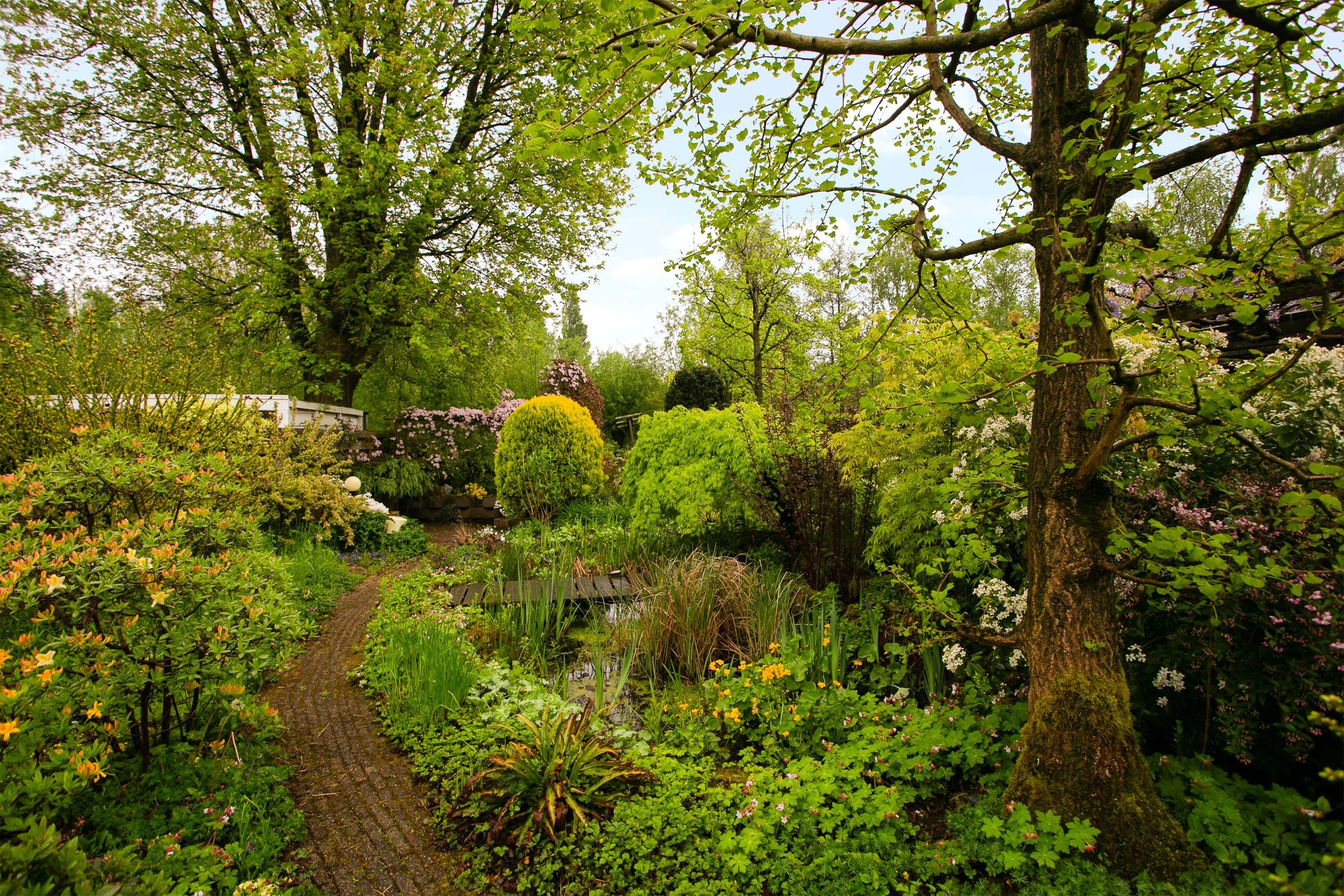 Foto 39 van Meentweg 112