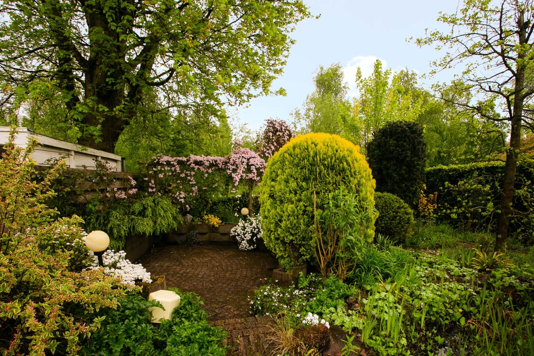 Foto 41 van Meentweg 112