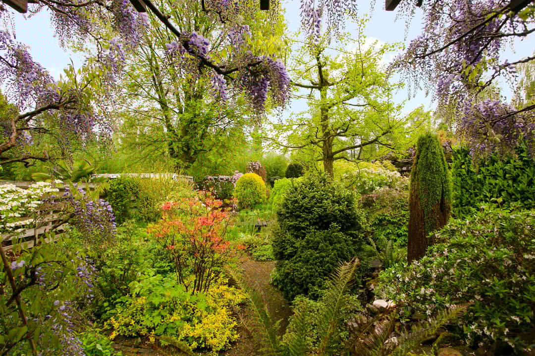 Foto 37 van Meentweg 112