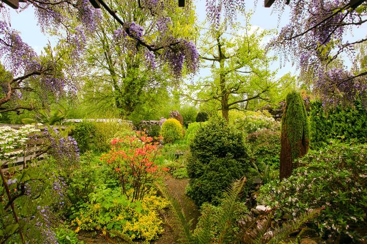 Foto 37 van Meentweg 112