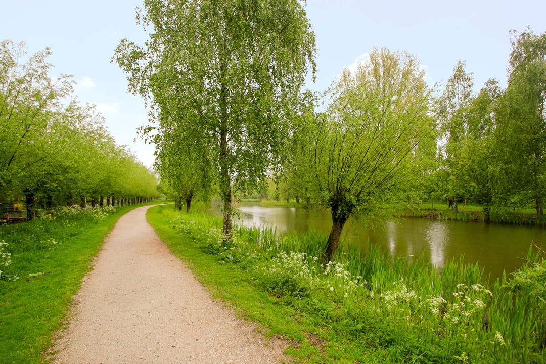 Foto 47 van Meentweg 112