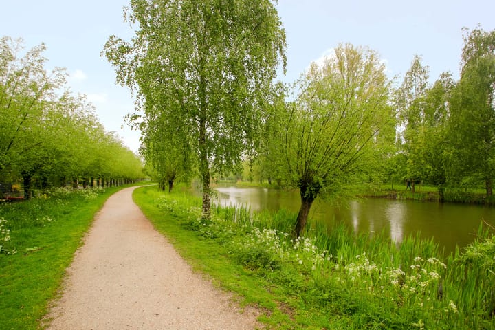 Foto 47 van Meentweg 112