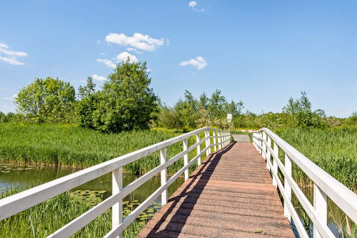 Foto 44 van Hazerswoudestraat 6