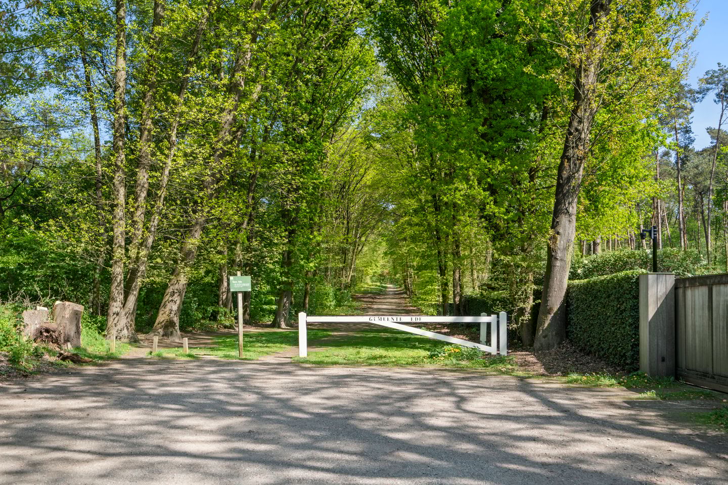 Foto 35 van Selterskampweg 66