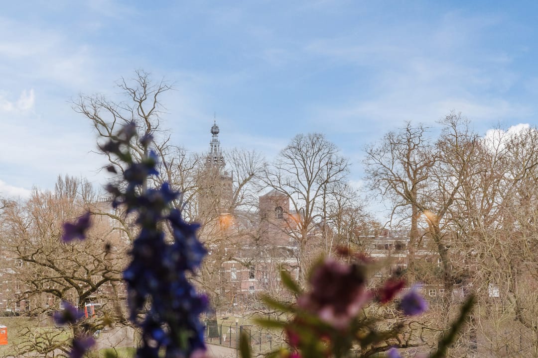 Foto 7 van Kronenburgersingel 57