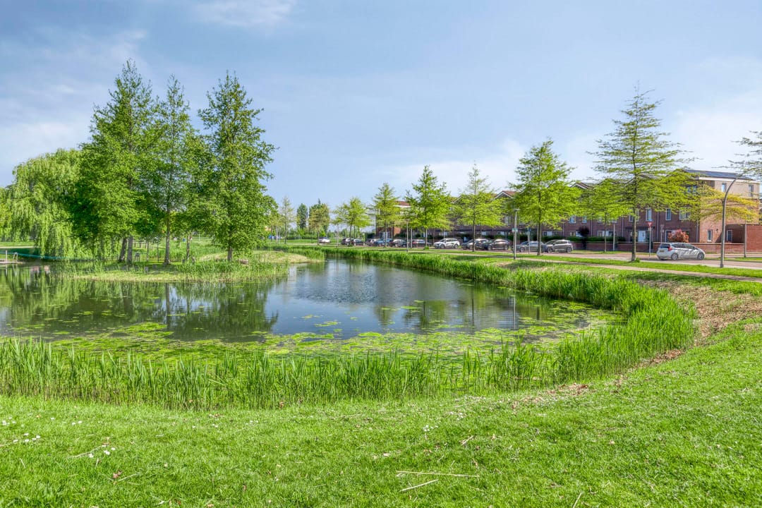 Foto 37 van Sophialaan 7