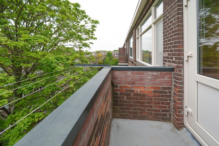 Foto 23 van Schieweg 204-C02