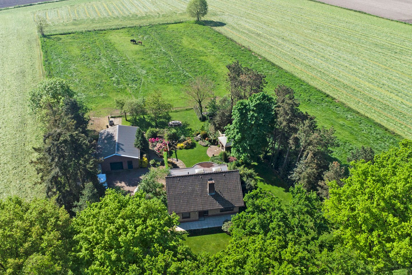 Foto 4 van Gemertseweg 11