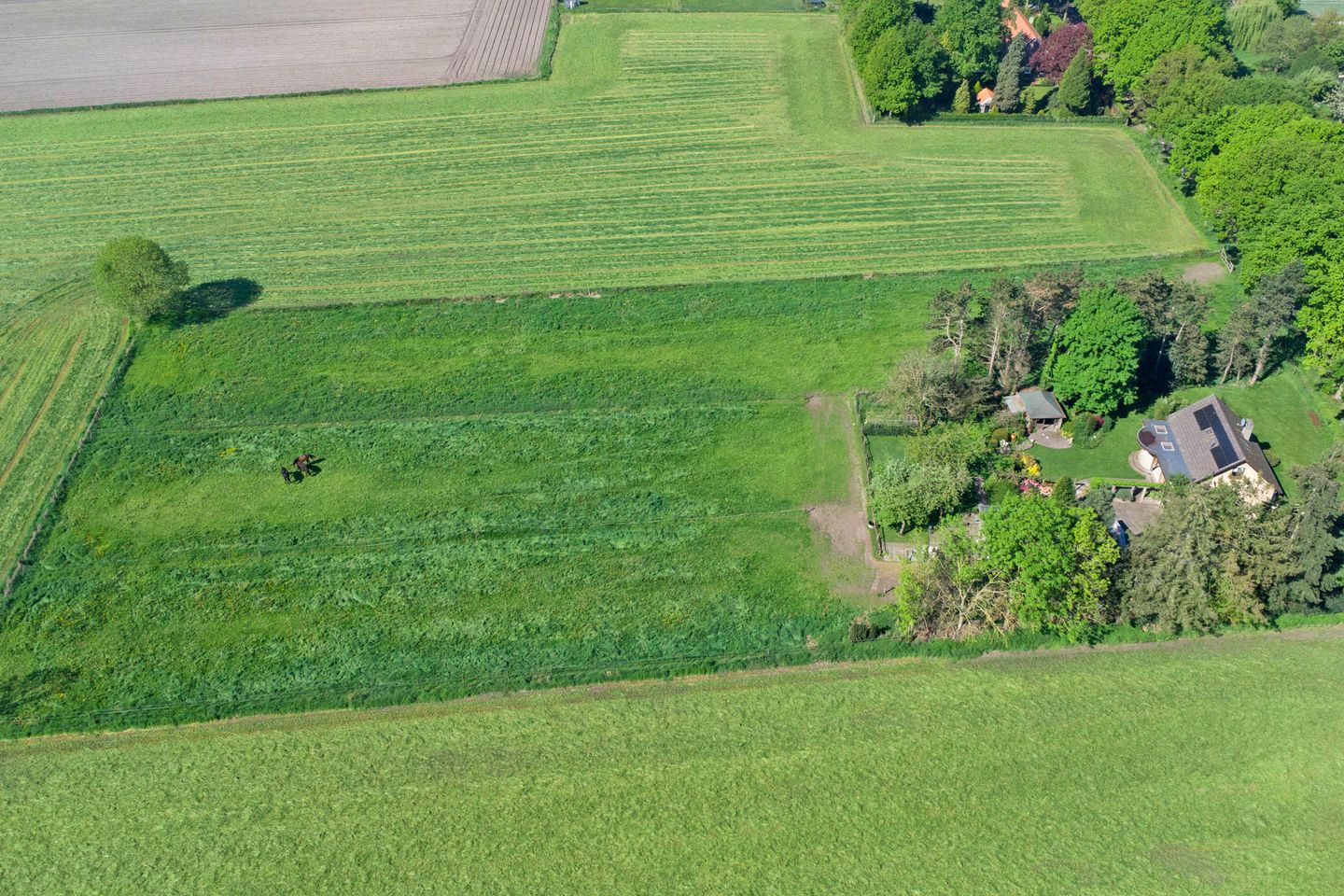 Foto 44 van Gemertseweg 11