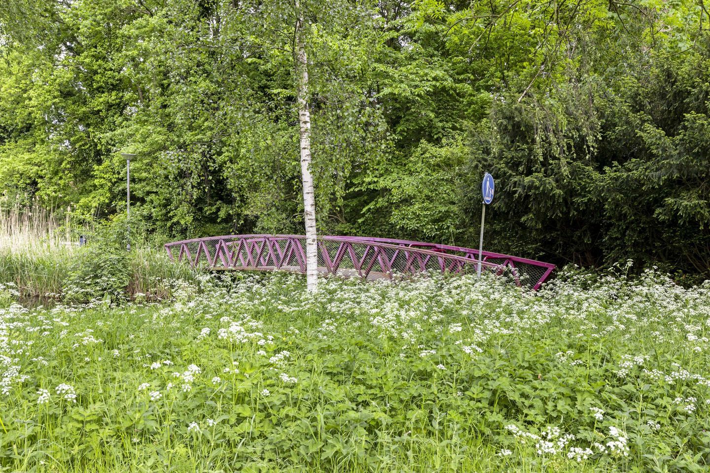 Foto 29 van Godijn van Dormaalstraat 148