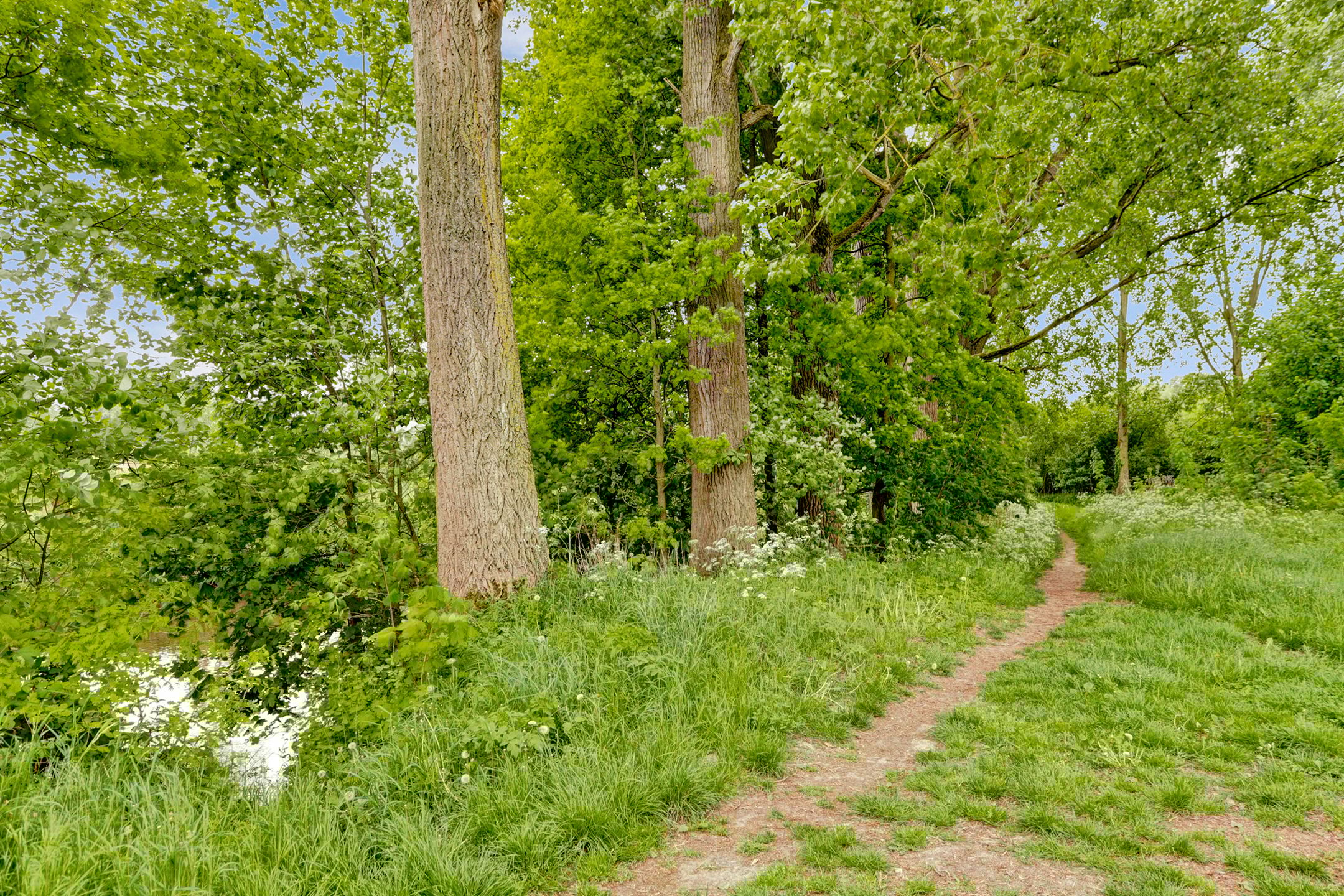 Foto 36 van Romeweg 2