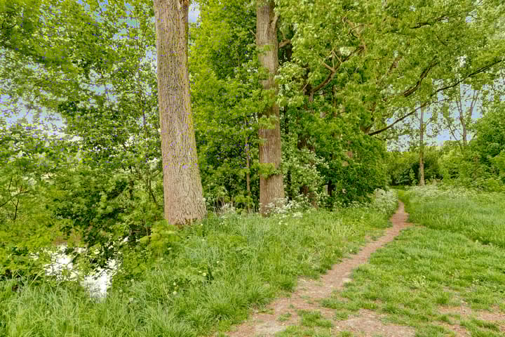 Foto 36 van Romeweg 2