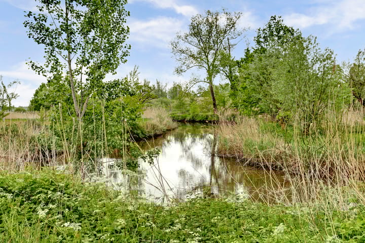 Foto 37 van Romeweg 2