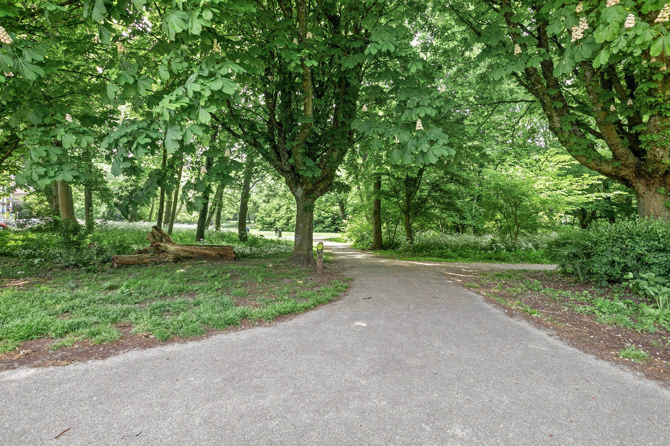 Foto 36 van Orteliuskade 33-H