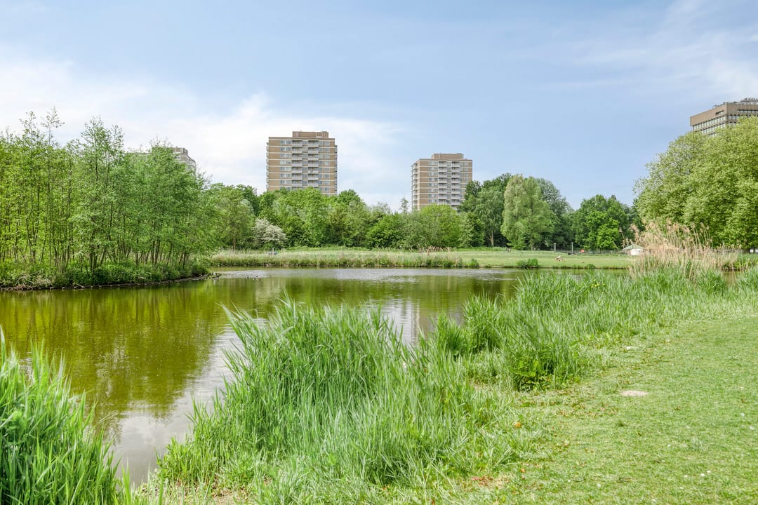 Foto 37 van Orteliuskade 33-H