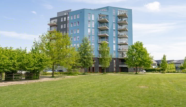 Foto 1 van Pygmalionstraat 114