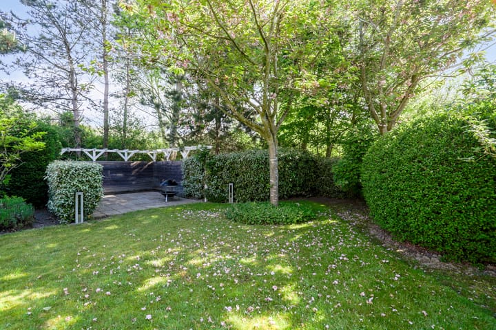 Photo 38 of Duinpan 65