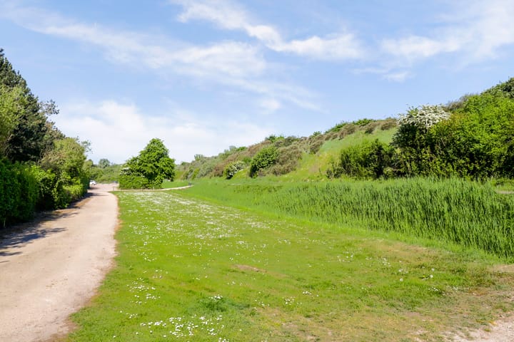 Photo 43 of Duinpan 65