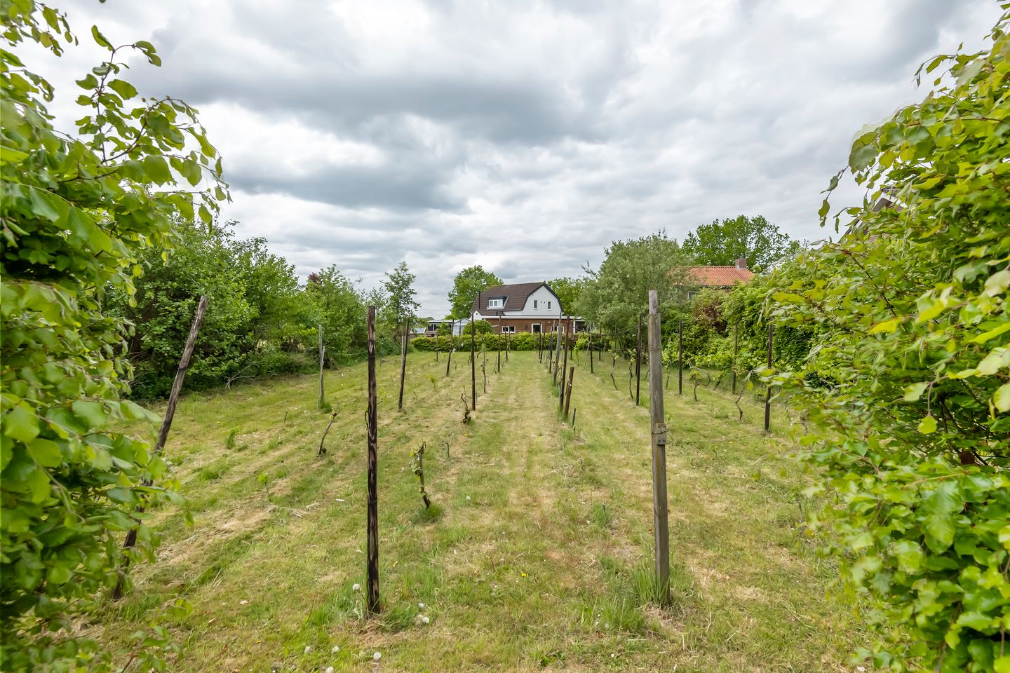 Foto 14 van Achterstraat 34