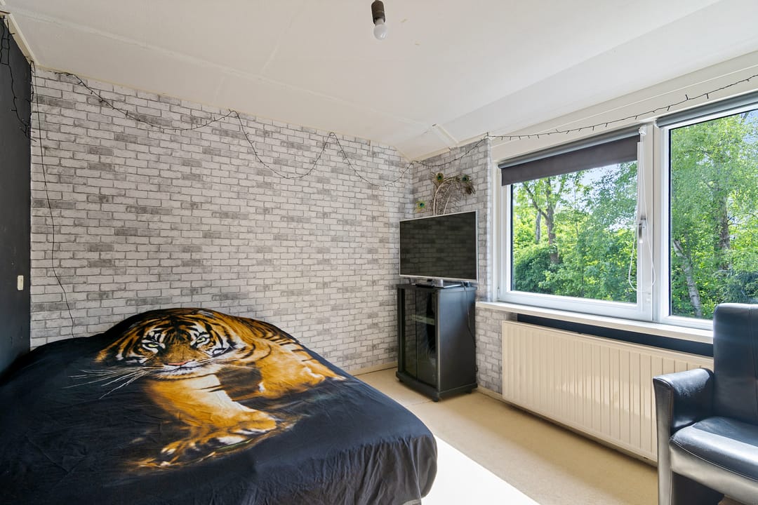 Foto 22 van Europalaan 43