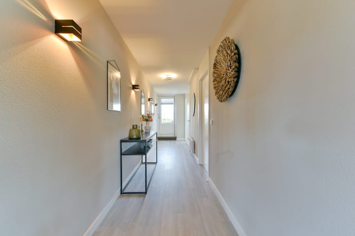 Foto 36 van Gerard Doustraat 20