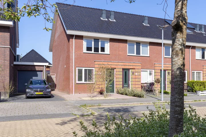 Foto 1 van Parelgras 55